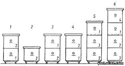 Примерная схема перемещения корпусов при многокорпусном содержании пчел